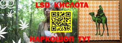 spice Краснодар